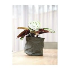 Bloempot Juna Blauw - Ø 25 × 25 Cm -Planten Winkel bloempot juna blauw 25 cm 1614005184 3 600
