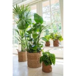 Bloempot Juna Cognac - Ø 19 × 19 Cm -Planten Winkel bloempot juna cognac 19 cm 1614003582 2 600