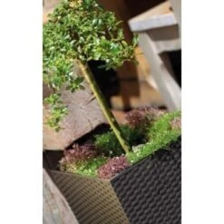 Bloempot RATAN 40 × 40 × 41 Cm -Planten Winkel bloempot ratan 40 x 40 x 41 cm 1534333363 4 600