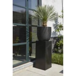 CAPI Bloempot Bol Rib NL 35 × 34 Cm - Zwart -Planten Winkel bloempot rib 35x34cm zwart 1636979674 2 600