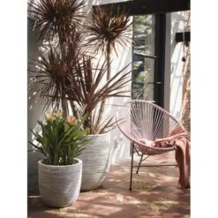 CAPI Bloempot Bol Rib NL 55 × 53 Cm - Ivoor 5 CAPI Bloempot Bol Rib NL 55 × 53 Cm - Ivoor -Planten Winkel bloempot rib 55x53cm ivoor 1636977516 1 600