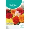 Dahlia Unwins Hybrid -Planten Winkel dahlia unwins hybrid 1646840361 1076 600