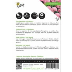 Dianthus Barbatus Pink Beauty -Planten Winkel dianthus barbatus pink beauty 1646840334 504 600