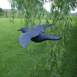 Duivenverjager Vliegende Raaf -Planten Winkel duivenverjager vliegende kraai 1495118313 2 600