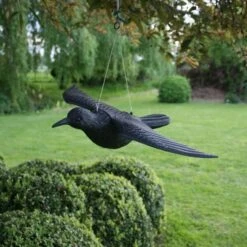 Duivenverjager Vliegende Raaf -Planten Winkel duivenverjager vliegende kraai 1495118460 1 600