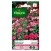 Duizendschoon Indisch Tapijt - Dianthus Barbatus -Planten Winkel duizendschoon indisch tapijt dianthus barbatus 1646839545 234 600