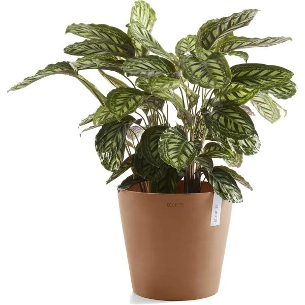 ECOPOTS Amsterdam - Terracotta Ø 40 Cm 4 ECOPOTS Amsterdam - Terracotta Ø 40 Cm - Afbeelding 2