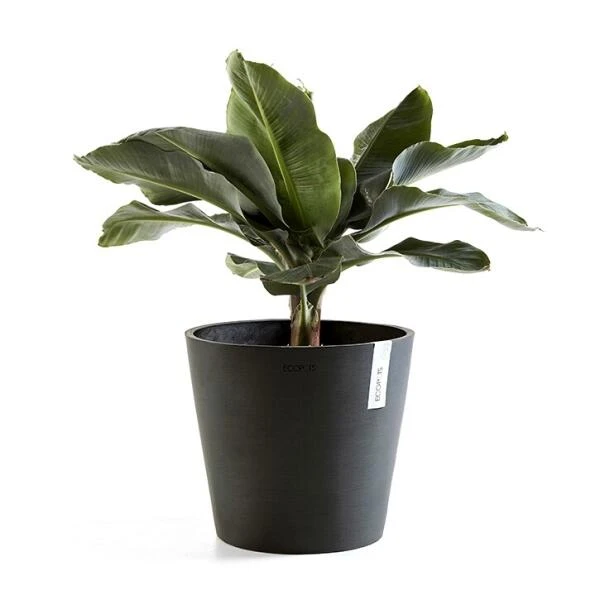 ECOPOTS Amsterdam - Antraciet Ø 40 Cm 4 ECOPOTS Amsterdam - Antraciet Ø 40 Cm - Afbeelding 2