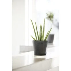 ECOPOTS Amsterdam Mini - Antraciet Ø 10,5 Cm -Planten Winkel ecopots amsterdam mini antraciet 105 cm 1594197594 2 600