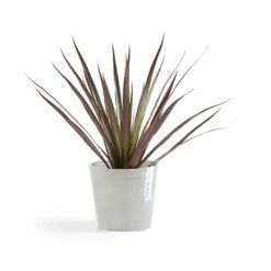 ECOPOTS Amsterdam Mini - Witgrijs Ø 13 Cm