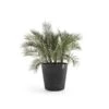 ECOPOTS Amsterdam Op Wielen - Antraciet Ø 60 Cm -Planten Winkel ecopots amsterdam op wielen antraciet 60 cm 1672749079 1 600