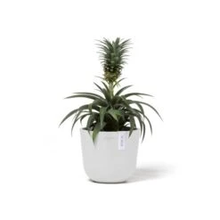 ECOPOTS Oslo Mini - Puur Wit Ø 16 Cm
