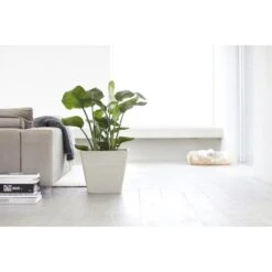 ECOPOTS Rotterdam - Witgrijs 50 Cm -Planten Winkel ecopots rotterdam witgrijs 50 cm 1594198733 1 600