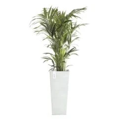 ECOPOTS Rotterdam High - Witgrijs 70 Cm 7 ECOPOTS Rotterdam High - Witgrijs 70 Cm -Planten Winkel ecopots rotterdam high witgrijs 70 cm 1591964353 1 600