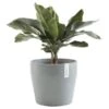ECOPOTS Sankara Rond - Blauwgrijs Ø 40 Cm 2 ECOPOTS Sankara Rond - Blauwgrijs Ø 40 Cm -Planten Winkel ecopots sankara rond blauwgrijs 40 cm 1600781287 1 600