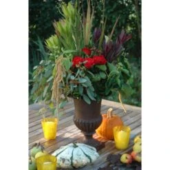 ESSCHERT DESIGN Franse Hoge Vaas 29 Cm 9 ESSCHERT DESIGN Franse Hoge Vaas 29 Cm -Planten Winkel franse vaas gietijzer 30 cm 1492516881 1 600