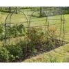 Fruitkooi Lang 3 × 1 × 1,5 M -Planten Winkel fruitkooi 3 x 1 x 15m 1484054956 1 600