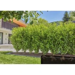 Gardena Micro-Drip-Bewatering Heggen/struiken Set - 50 M -Planten Winkel gardena mdb druppelbuis set 50 m 1683727538 4 600