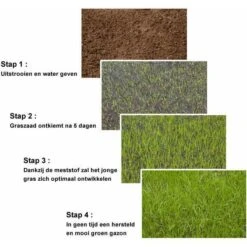 Substral Patch Magic 4 In 1 - 1,5 Kg -Planten Winkel gazonherstel patch magic 15kg 1495536842 2 600