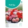 Geranium Magic Beauty - Pelargonium Zonale -Planten Winkel geranium magic beauty pelargonium zonale 1646840363 1128 600