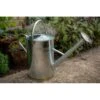 Gieter Gegalvaniseerd Metaal 9 Liter -Planten Winkel gieter gegalvaniseerd metaal 9 liter 1484061781 1 600