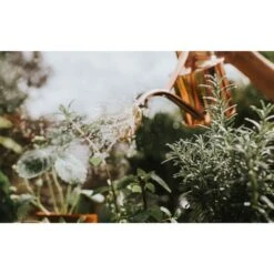 Haws Gieter 1 L - Koper -Planten Winkel gieter haws 1 l koper 1659089480 2 600