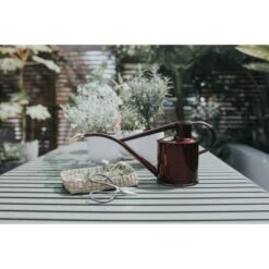 Gieter Haws 1 Liter - Metaal Bordeaux 7 Gieter Haws 1 Liter - Metaal Bordeaux -Planten Winkel gieter haws 1 l metaal bordeaux 1659093221 2 600