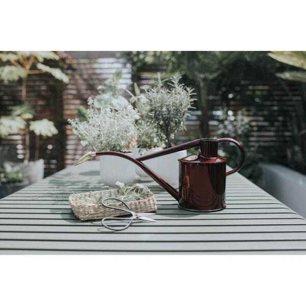 Gieter Haws 1 Liter - Metaal Bordeaux 4 Gieter Haws 1 Liter - Metaal Bordeaux - Afbeelding 2