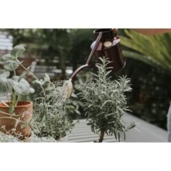 Gieter Haws 1 Liter - Metaal Bordeaux 8 Gieter Haws 1 Liter - Metaal Bordeaux -Planten Winkel gieter haws 1 l metaal bordeaux 1659093222 3 600