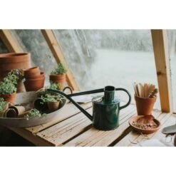 Gieter Haws 1 Liter - Metaal Groen 7 Gieter Haws 1 Liter - Metaal Groen -Planten Winkel gieter haws 1 l metaal groen 1659089270 1 600