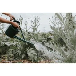 Gieter Haws The Cradley Cascader 7 Liter - Groen -Planten Winkel gieter haws 7 l groen 1657625727 2 600