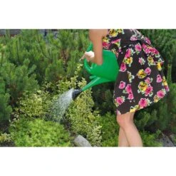 Gieter In Kunststof Groen - 3 Liter 6 Gieter In Kunststof Groen - 3 Liter -Planten Winkel gieter in kunststof groen 3 l 1660135088 2 600