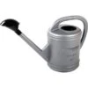 Gieter Zilverkleurig 10 L 1 Gieter Zilverkleurig 10 L -Planten Winkel gieter zilver 10l 1542033679 1 600