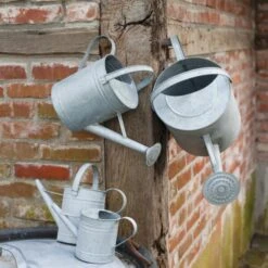 ESSCHERT DESIGN Gieter Zink Voor Binnenshuis - 0,75 Liter -Planten Winkel gieter zink 075 liter 1484668193 0 600