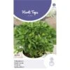 Griekse Potbasilicum - Ocimum Basilicum Bascuro -Planten Winkel griekse potbasilicum ocimum basilicum bascuro 1646840346 740 600