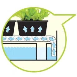 Groeilicht Met Kweekset - Zwart -Planten Winkel groeilicht met kweekset zwart 1484063021 3 600