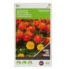 Groenbemester Afrikaantjes 50 G - 50 M² -Planten Winkel groenbemester afrikaantjes 50 g 50 m 1646840358 1004 600