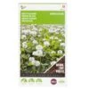Groenbemester Witte Klaver 100 G - 100 M² -Planten Winkel groenbemester witte klaver 100 g 100 m 1646840357 996 600