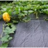 Gronddoek 2 M × 5 M (90 G/m²) -Planten Winkel gronddoek 2 m x 5 m 100gm 1553159982 1 600