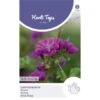 Groot Kaasjeskruid - Malva Sylvestris -Planten Winkel groot kaasjeskruid malva sylvestris 1646840346 744 600