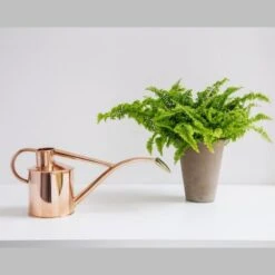 Haws Giftbox Gieter En Vernevelaar - Koper 7 Haws Giftbox Gieter En Vernevelaar - Koper -Planten Winkel haws giftbox koper 1485175232 0 600