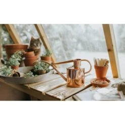 Haws Giftbox Koper - Gieter + Vernevelaar -Planten Winkel haws giftbox koper 1657620574 4 600