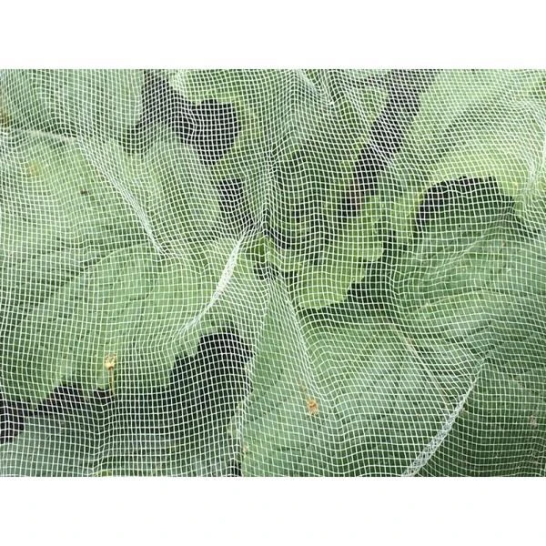 Insectengaas Tegen Koolvliegen, Etc.,...366 Cm × 600 Cm 3 Insectengaas Tegen Koolvliegen, Etc.,...366 Cm × 600 Cm