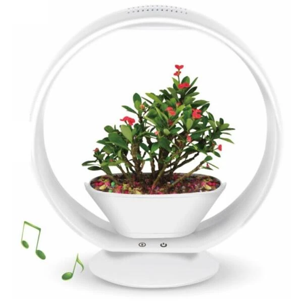 Mini Tuin Jardin Secret Met Verlichting En Bluetooth - Rond 3 Mini Tuin Jardin Secret Met Verlichting En Bluetooth - Rond