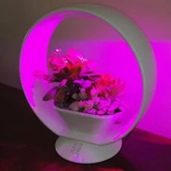 Mini Tuin Jardin Secret Met Verlichting En Bluetooth - Rond 7 Mini Tuin Jardin Secret Met Verlichting En Bluetooth - Rond -Planten Winkel jardin secret met bluetooth rond 1602065218 3 600