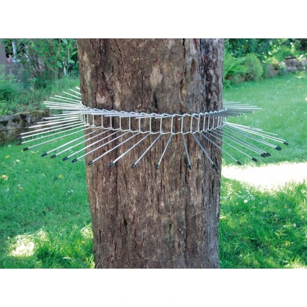 Kattenafweer Boomgordel Tot Boomomtrek 115 Cm 3 Kattenafweer Boomgordel Tot Boomomtrek 115 Cm