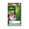 Kattengras - Gerst 80 G -Planten Winkel kattengras 80 g 1484063869 1 600