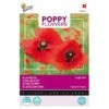 Klaproos Corn Poppy - Papaver Rhoeas -Planten Winkel klaproos corn poppy papaver rhoeas 1646840341 657 600