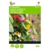 Klimplantenmengsel (diverse Soorten) 2 Klimplantenmengsel (diverse Soorten) -Planten Winkel klimplantenmengsel diverse soorten 1646840333 479 600