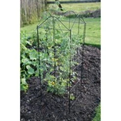 Klimplantensteun - Moduleerbare Steunpanelen 13 Klimplantensteun - Moduleerbare Steunpanelen -Planten Winkel klimplantensteun rekken 1549797641 3 600